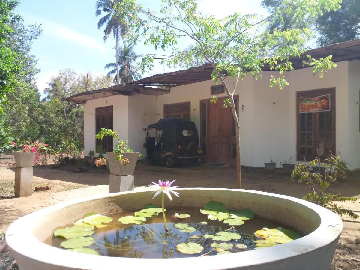 Silent Peacock Villa And Peacock Cafe Tangalle Exterior photo